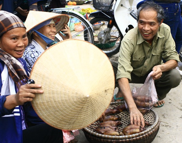 Ở ngoài chợ một số nơi ở ngoại thành Hà Nội bán thịt chuột như... thịt lợn